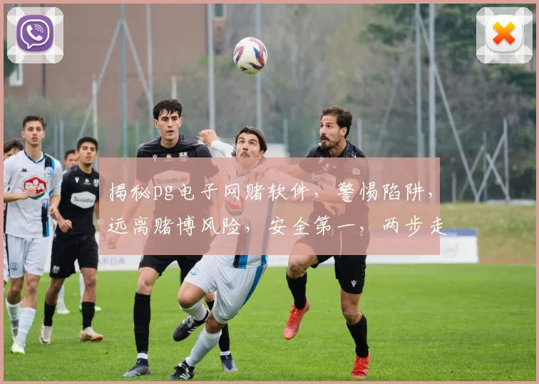 揭秘pg电子网赌软件，警惕陷阱，远离赌博风险，安全第一，两步走