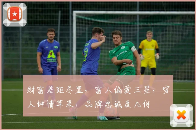 财富差距尽显，富人偏爱三星，穷人钟情苹果，品牌忠诚度几何