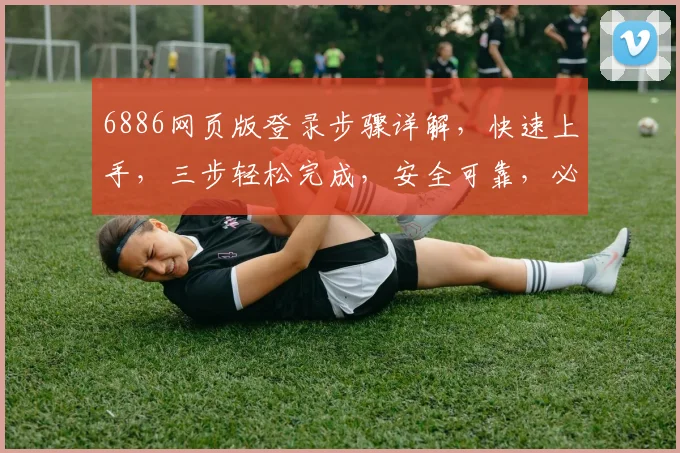 6886网页版登录步骤详解，快速上手，三步轻松完成，安全可靠，必看攻略