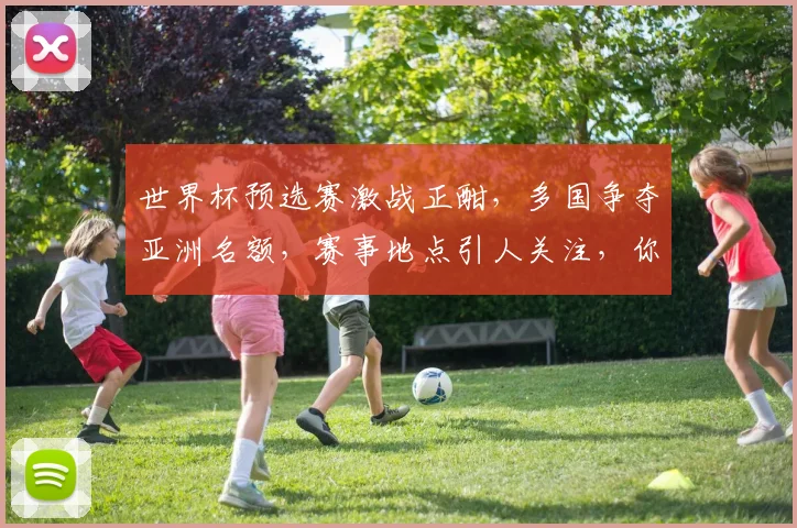 世界杯预选赛激战正酣，多国争夺亚洲名额，赛事地点引人关注，你猜会在哪里