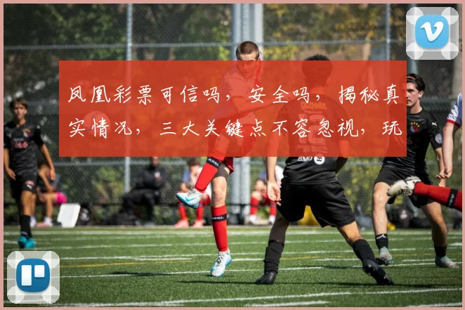 凤凰彩票可信吗，安全吗，揭秘真实情况，三大关键点不容忽视，玩家必看