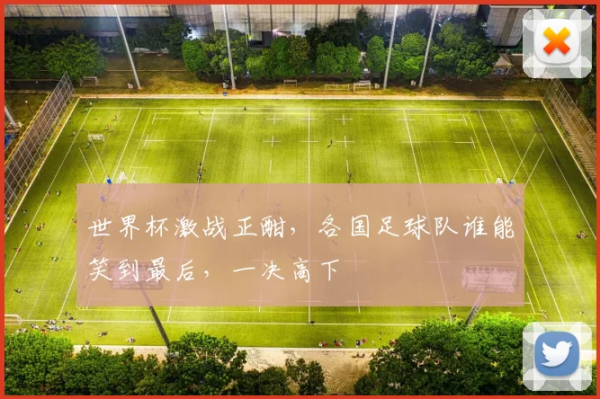 世界杯激战正酣，各国足球队谁能笑到最后，一决高下