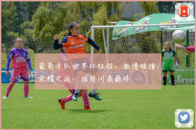 葡萄牙队世界杯征程，激情碰撞，荣耀之战，谁将问鼎巅峰